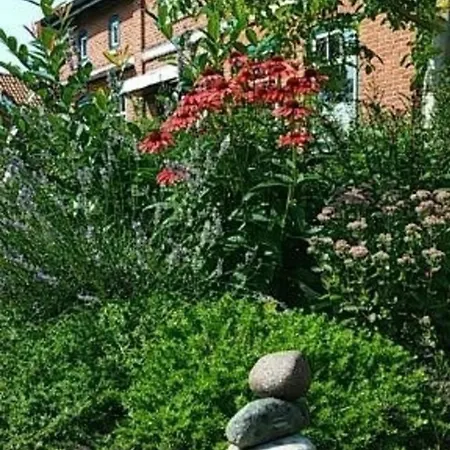 Apartament Fw Einfeldt Hinrichsdorf