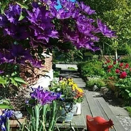 Apartament Fw Einfeldt *